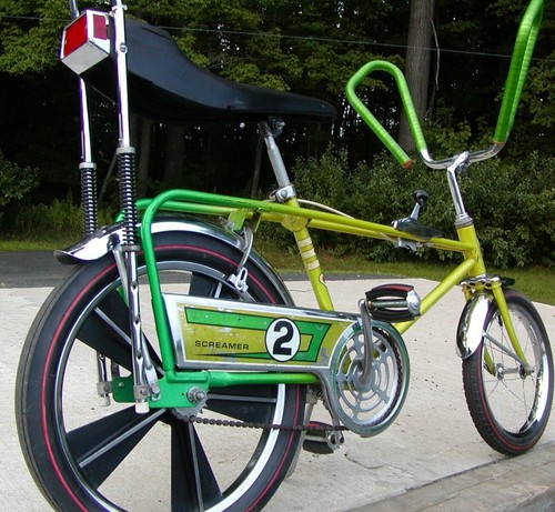 1960s Sears Screamer 2 muscle banana bicycle chainguard decal green background - Picture 2 of 3