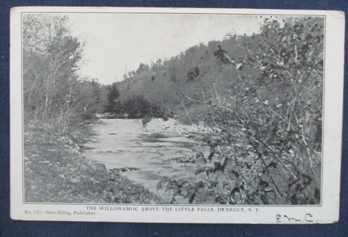 1907 Debruce New York Willowemoc River Postcard & Cancel