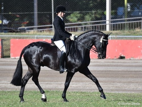 Swancorp Sulphur Powder 25kg Yellow Horse Supplement Feed Efficiency Equine Agri - Picture 3 of 12
