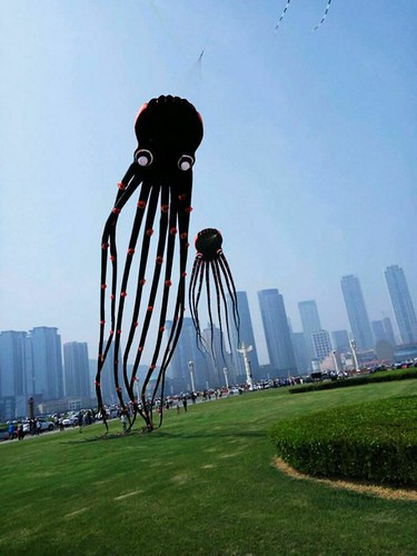 26ft 8m 3D Huge Octopus Power Sport Soft Parafoil Kite Outdoor Toy Single Line - Afbeelding 3 van 6