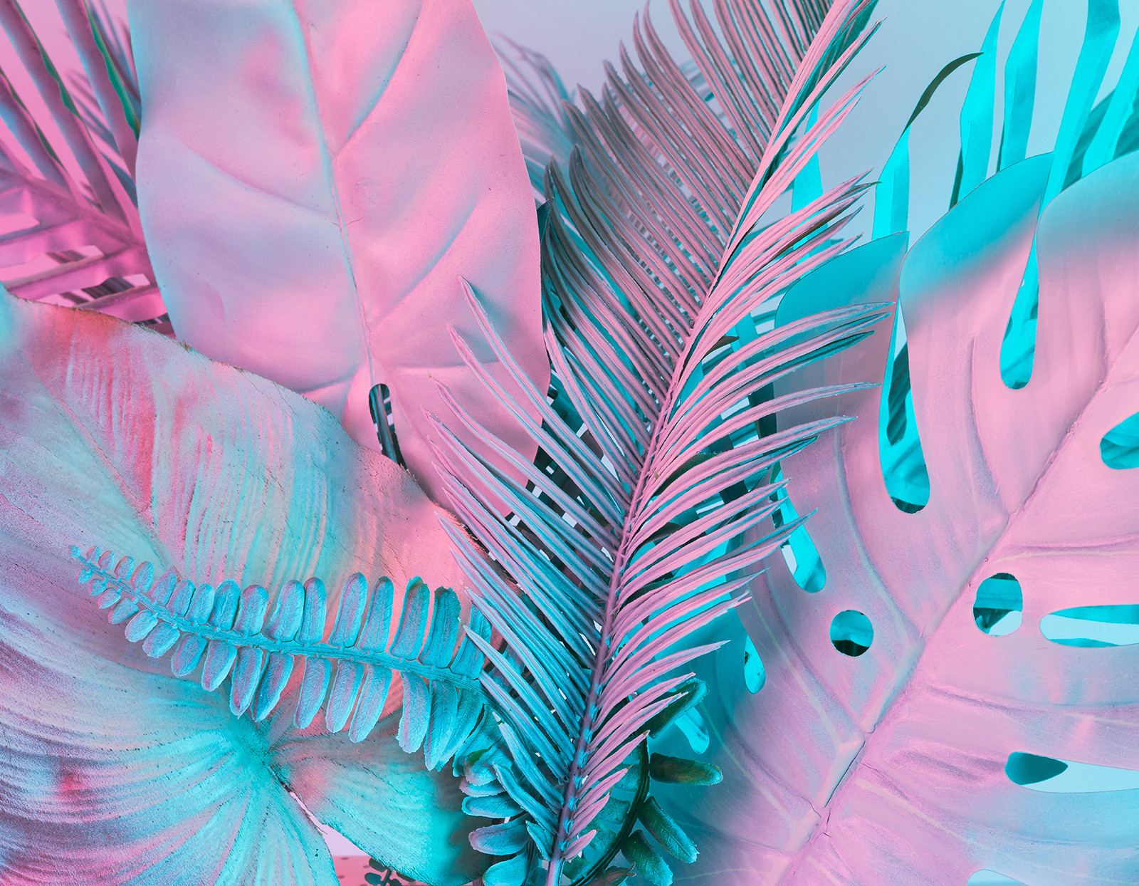 Vetro Temperato Foto Stampa Decorazione Decorazione Decorazione da Parete Astratto Neon Palme Prizma 8f3fb9 Vetro Temperato Foto Stampa Decorazione Decorazione Decorazione da Parete Astratto Neon Palme Prizma 8f3fb9