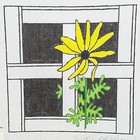 Picture 1 of 7