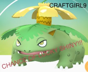 Venusaur Shiny Trade Pokemon Go Chance Of Lucky Require 20k