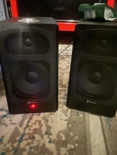 Rockville (2) SPGN128 Passive PA Speakers