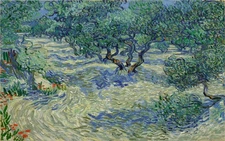 Hand-painted Oil Painting Vincent van Gogh Olive Grove