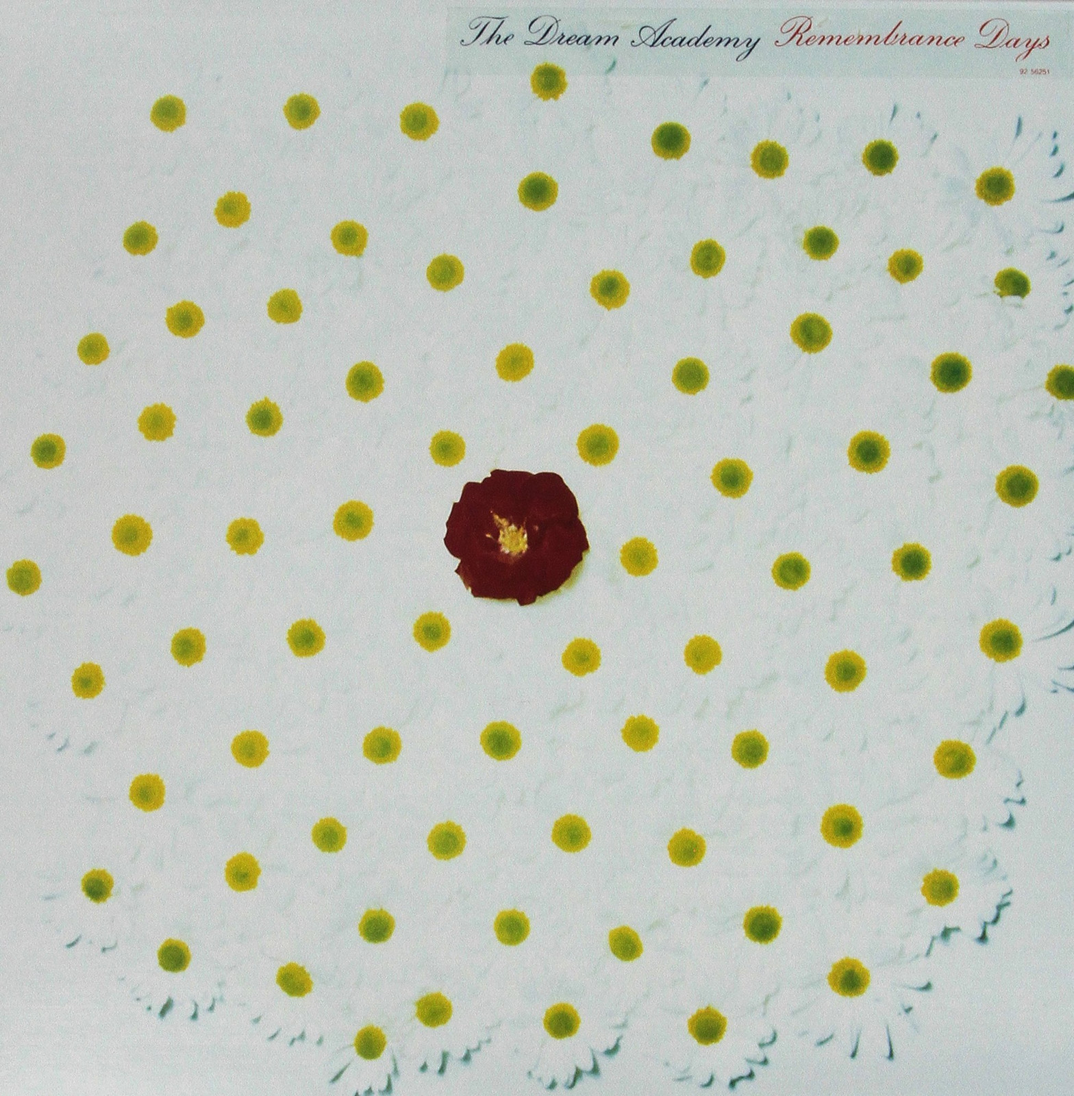 Дни памяти Академии мечты (винил) (ИМПОРТ ИЗ Великобритании)