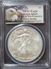 2013-S 1 oz Silver Eagle First Strike $1 PCGS MS69