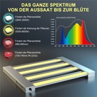 Bild 3 von 33