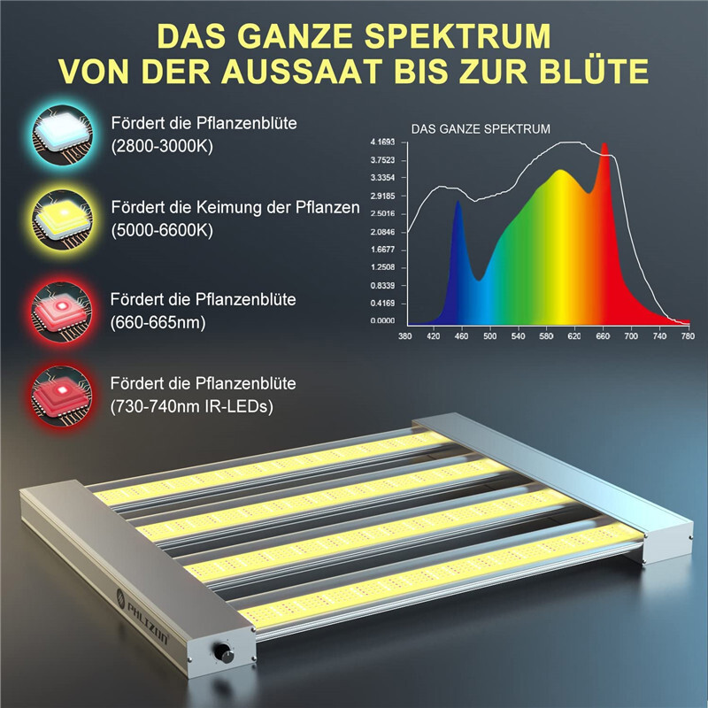 Bild 3 von 33