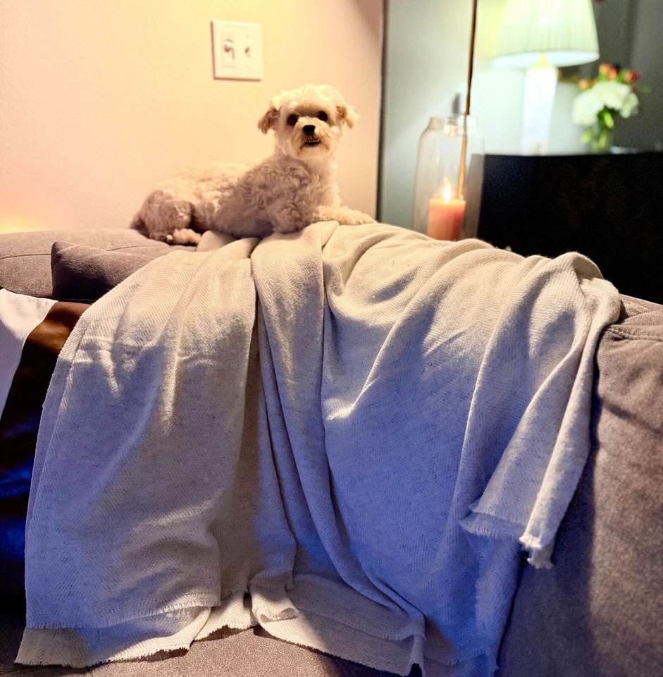 XL Natural Cashmere Blanket – Luxurious Warm & Made In Nepal 50”x115” Beige - Image 3 of 4