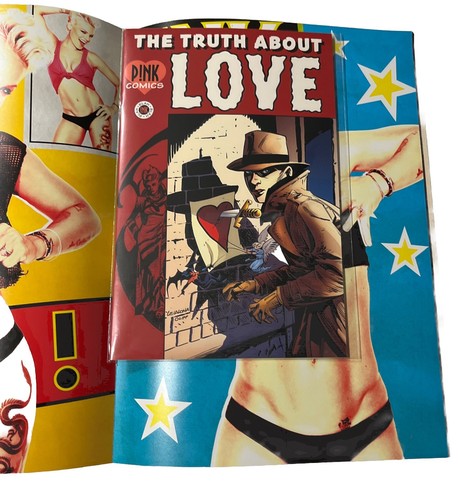 Libro del programa P!NK Pink 2013 The Truth About Love World Tour con cómic oficial NUEVO - Imagen 4 de 7