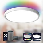 TALOYA Smart Ceiling Light Flush Mount LED WiFi, Compatible with Alexa Google