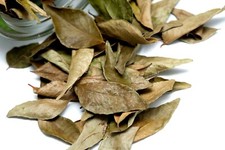 ORGANIC DRY BAY LEAVES - FRESH - HOJAS DE LAUREL select 2oz to 8oz