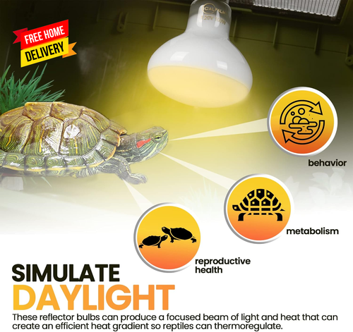 4-Pack 100W Reptile Heat Lamp Bulbs UVA Daylight Basking Light Bulbs for Reptile - Picture 2 of 6
