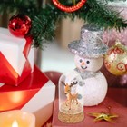 Model Display Glass Dome with Base for Protecting and Showcasing Collectibles