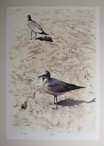 Carl Arlen 1987 Gulls Limited Edition Signed Numbered Lithograph Bird Art Print - Picture 1 of 3