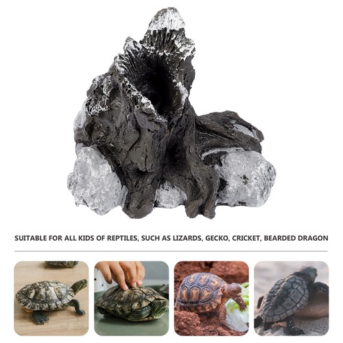 Officiel Avoid The Sunbathing Lizard Enclosure Reptile Tank Habitat Decor