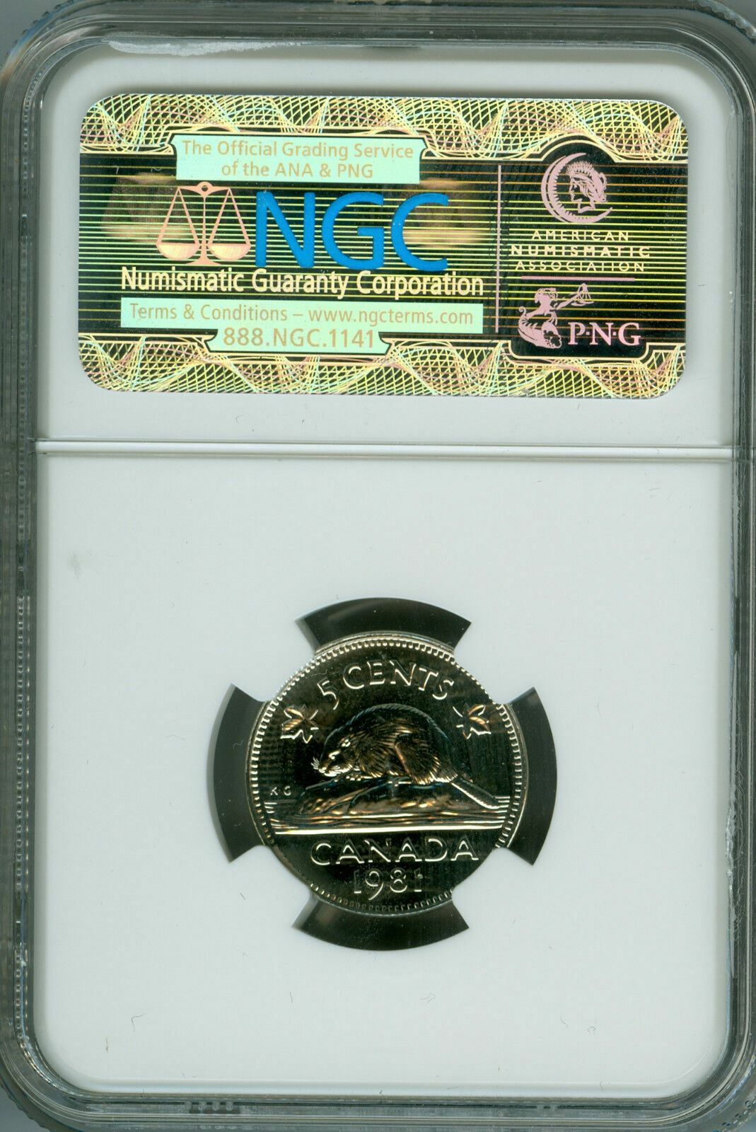 Picture 4 of 4