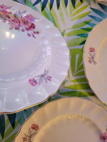 Old Chelsea Johnson Bros fiore rosa floreale scegli il tuo articolo Rose Cherry Blossom - Foto 20 di 65