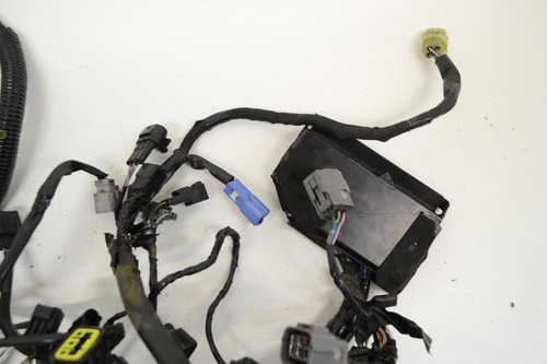 KAWASAKI Z 800 2013 2014 2015 2017 Wiring harness loom engine main wire ignition - Picture 5 of 6