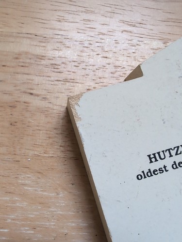 Hutzler Brothers Co Baltimore MD Grandes almacenes más antiguos Maullido de gato 1995 gatos - Imagen 5 de 6