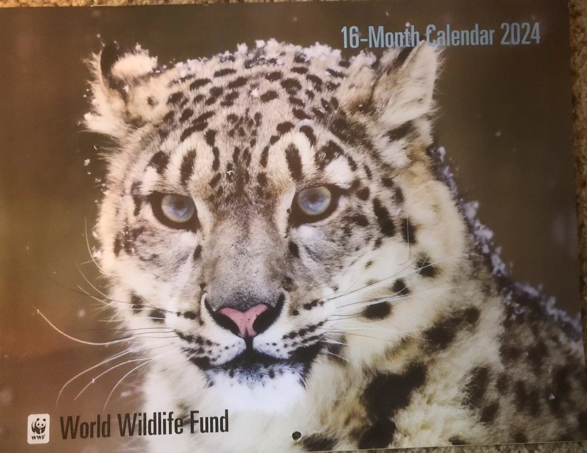 2024-world-wildlife-fund-wall-calendar-new-ebay