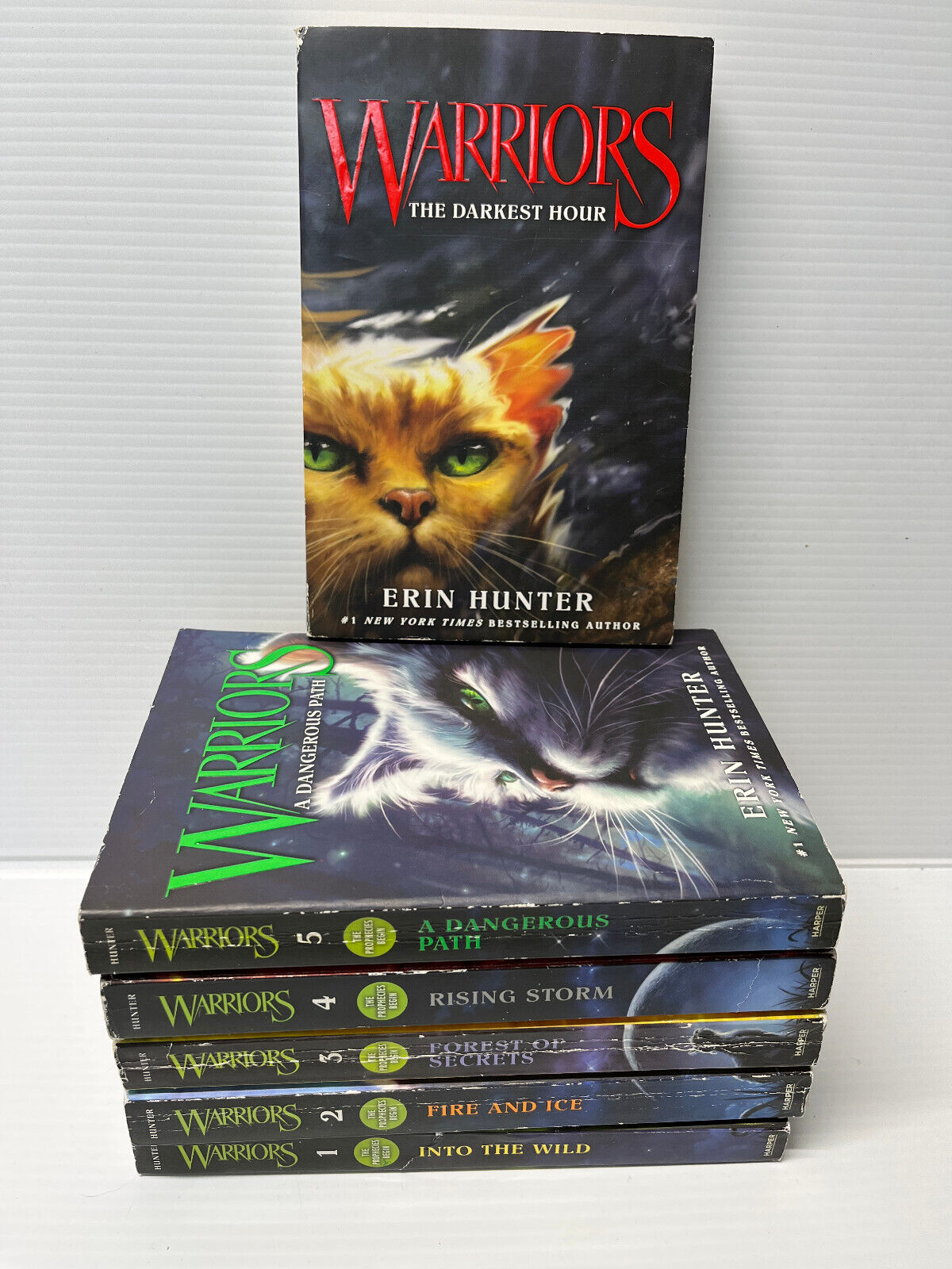 Erin Hunter's Warriors Series (#1-6) : Into the Wild - Fire and Ice -  Forest of Secrets - Rising Storm - A Dangerous Path - The Darkest Hour  (Children Book Sets 