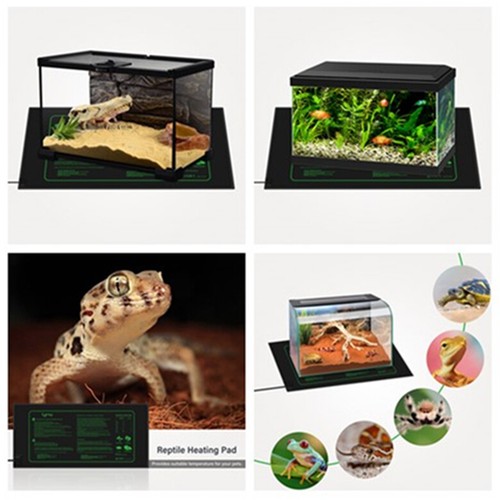 Temperaturregler Thermostate Kühlung Heizung ITC-308 21W Setzlinge Wärmematte DE - Bild 12 von 12