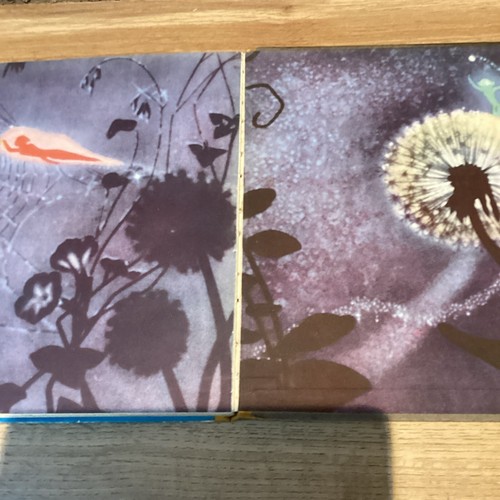 The Nutcracker Suite Intro By Leopold Stokowski C 1943 HB Walt Disney - Picture 12 of 14