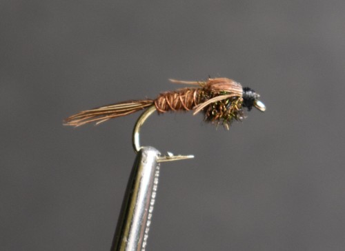 PHEASANT TAIL (no bead head) Nymph Fly Fishing Flies 1 Fly, U Choose Size - 第 1/2 張圖片