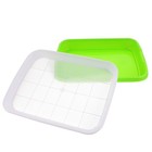  1 Satz Pflanze Keimungsschalen Soillloss Anlage Sprossen-Tabletts