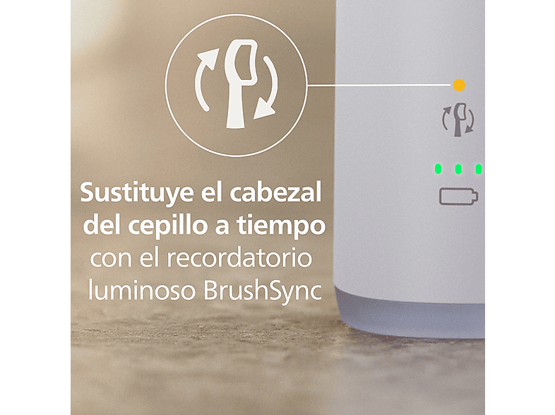 Imagen 8 de 8