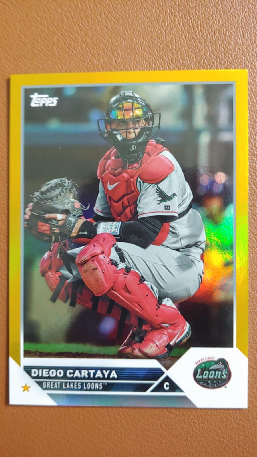 Diego Cartaya 2023 Topps Pro Debut Gold Foil /50 PD-169