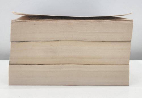 Lee Kinderbücher - Jack Reacher Serie Posten von 3 übergroßen Taschenbüchern (guter Zustand) - Bild 4 von 24