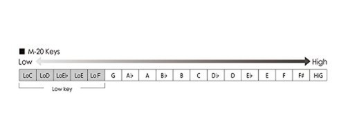 SUZUKI MANJI M20 C 10-Hole Harmonica with Tracking# New from Japan - Picture 8 of 11