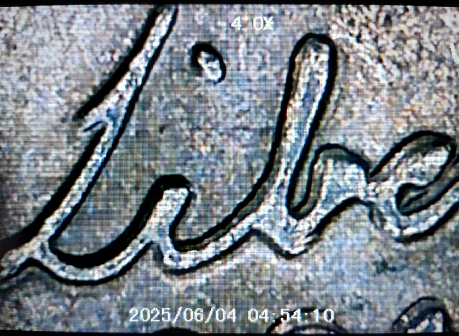 Picture 5 of 24