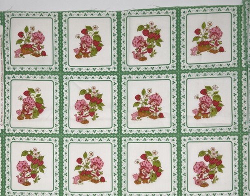 Vtg Strawberry Shortcake Green Squares Fabric Rare 43”x 17” 24 Squares Read - Picture 2 of 2