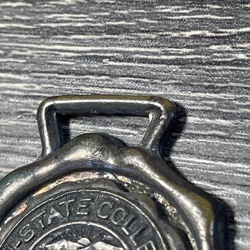 1884 Tri State College Angola Indiana Anhänger - Bild 8 von 13