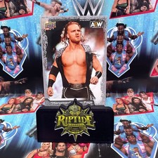AEW All Elite Wrestling Upper Deck 2022 Base Gold Silvers & Insert Cards