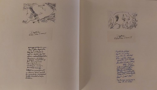 Unpublished Final Draft Book of Art Ink ABSTRACT Drawings Sketch Artist CLIPSHAM - Picture 13 of 23