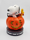 Hallmark Peanuts Vampire Snoopy and Woodstock Halloween Figurine with Light