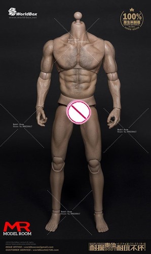 WorldBox 1/6 AT011 AT012 AT018 AT020 AT027 AT030 Male Body Action Figure Gift - Picture 22 of 36