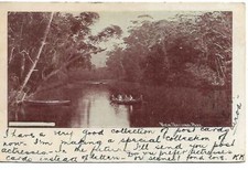 View National Park 1900's Postcard Sold as per Scans