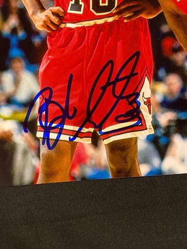 B.J. Armstrong Chicago Bulls Auto Autographed Signed 8x10 Photo ~ JSA COA - Picture 2 of 5