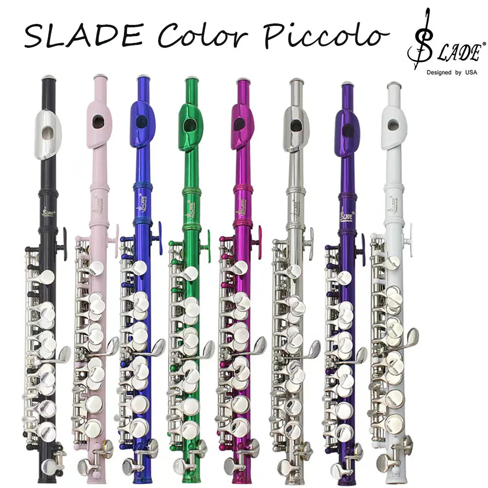 Slade Flute with Case new Great Condition Slade Flute with Case new Great Condition