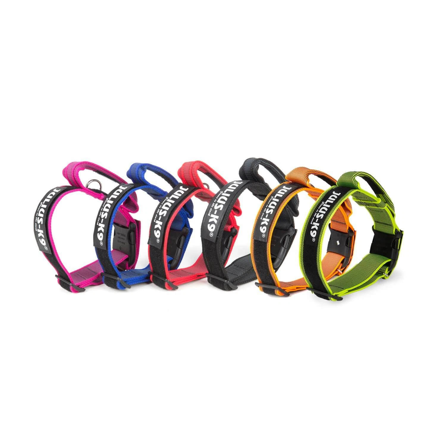 Julius-K9 Color & Gray Dog Puppy Collar with Closable Handle and Safety Lock
Opens in a new window o