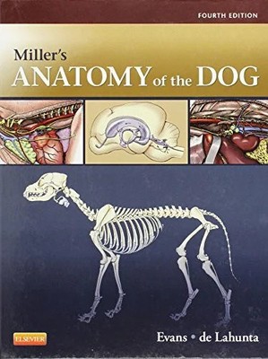Miller's Anatomy of the Dog Buch Saunders