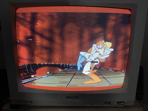 Philips CM8833 CRT RGB VGA Altoparlanti stereo monitor - Bild 8 von 12