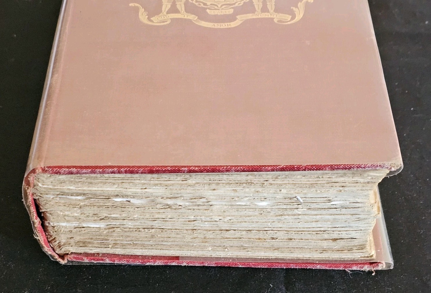 Picture 5 of 17