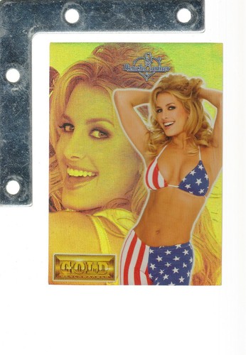 2003-2013 Benchwarmer Various Inserts FOIL/LINGERIE PICK FROM LIST UpTo25%OFF - Picture 4 of 43